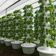 36-Pod Vertical Hydroponic Tower Garden – 9 Layer